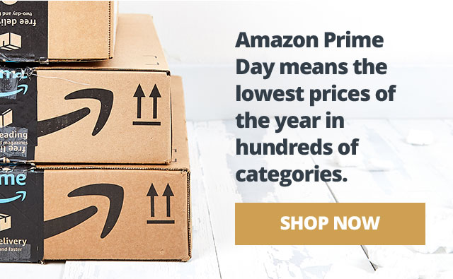 Amazon Prime Day means the lowest prices of the year in hundreds of categories.