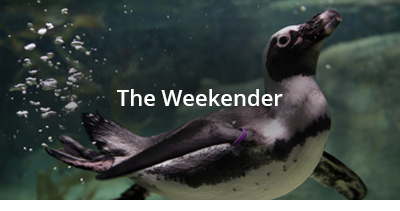 The Weekender