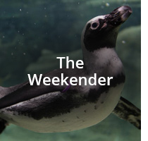 The Weekender